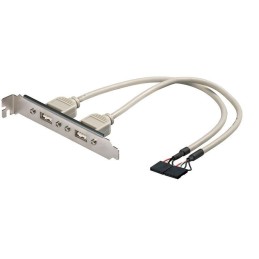 Cavetto Slot USB 2.0 2x 5pin