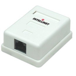 Presa a Muro con Frutto RJ45 Cat. 5E UTP Beige