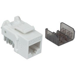 Frutto Keystone RJ45 Cat6A UTP 10 Gigabit Bianco