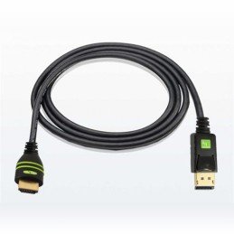 Cavo Convertitore da DisplayPort a HDMI 1 m