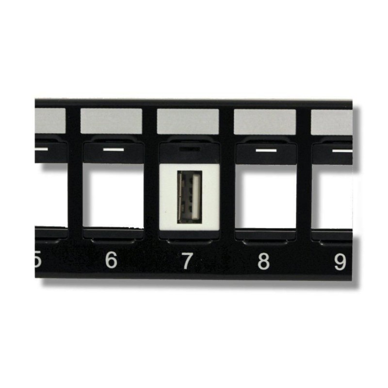 Adattatore USB A F/F Keystone Adattatore USB A F/F Keystone