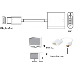 Adattatore DisplayPort 1.2 Maschio / DVI Femmina 15cm Bianco