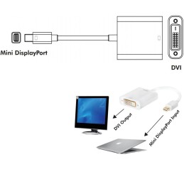 Adattatore Mini DisplayPort (Thunderbolt) 1.2 / DVI 15cm Bianco