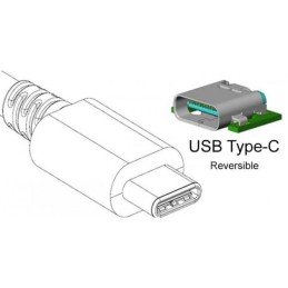 Cavo Convertitore Adattatore da USB-C™ Maschio a Displayport Femmina