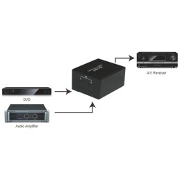 Switch Audio Toslink 2 Porte