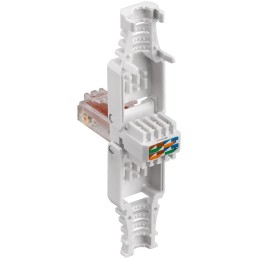 Plug Cat.6 RJ45 Tooless con Copriconnettore