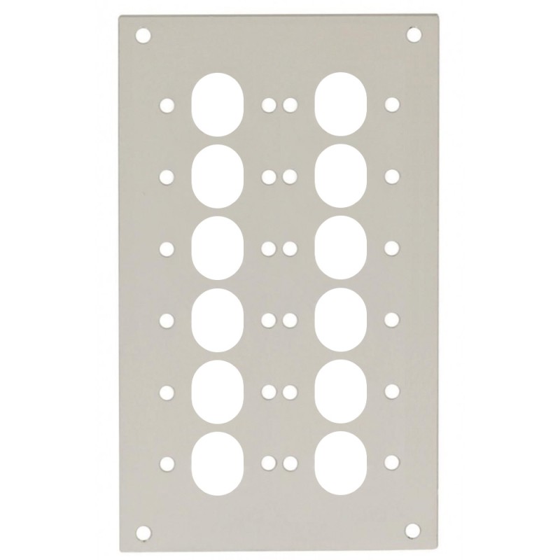 Pannello Frontale 12 Connessioni ST-Simplex per Box Ottico Pannello Frontale 12 Connessioni ST-Simplex per Box Ottico