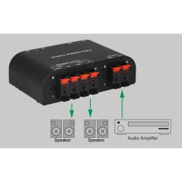 Commutatore audio per casse acustiche 2 vie con Terminali a pressione