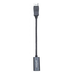 Adattatore DisplayPort a HDMI Passivo