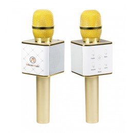 Microfono Karaoke Bluetooth con Speaker Stereo, BT-X31