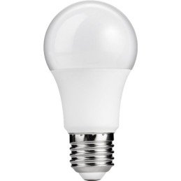Lampada LED Globo E27 Bianco Caldo 6W, Classe A+