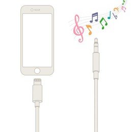 Cavo da Apple Lightning a Audio 3,5 mm M 1m Nero