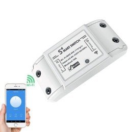 Interruttore Switch Smart Home 10A WiFi Universale, R4967