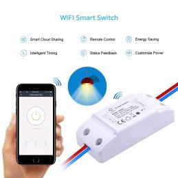 Interruttore Switch Smart Home 10A WiFi Universale, R4967