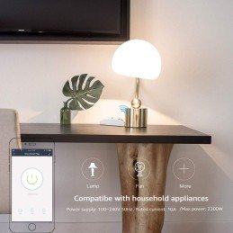 Interruttore Switch Smart Home 10A WiFi Universale, R4967