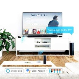 Telecomando Smart Home Universale Controllo Vocale, R4294 Alexa, Google Home