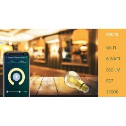 Lampadina LED E27 con Filamento Smart Controllo Vocale Alexa A+, R9078