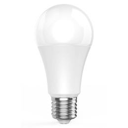 Lampadina LED E27 806lm WiFi Controllo Vocale Alexa, R9074 Classe A+