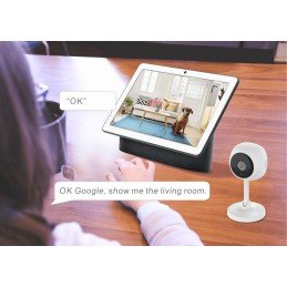 Smart Camera WiFi Full HD 2 MP Controllo Vocale Alexa Google, R4114