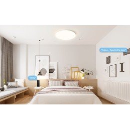 Plafoniera LED Intelligente WiFi Dimmerabile Soffitto Alexa, R5111