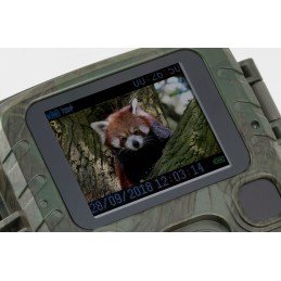 Camera Wild 1080P 12MP IP56 PIR IR 18m per Osservazione Fauna, TX-117