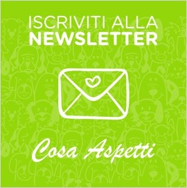 ISCRIVITI ALLA NEWSLETTER